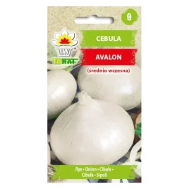 cebula-avalon-3g