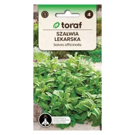 szalwia-lekarska-1g