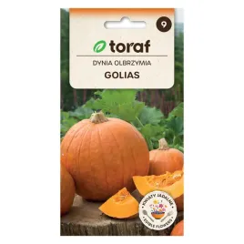 dynia-olbrzymia-golias-4g