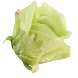 roza-wyr-green-12-szt-sp