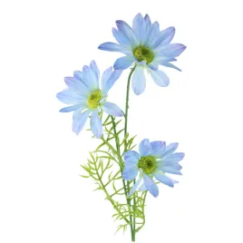 stokrotka-galazka-x3-jasny-niebieski-sp