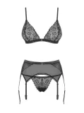 sexy-komplet-biustonosz-pas-stringi-obsessive-s-m-marka-obsessive