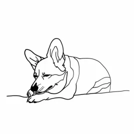 plakat-40x40cm-spiacy-corgacz