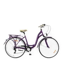 rower-storm-paris-28-amt-6s-sliwka-17