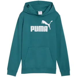 bluza-mlodziezowa-puma-ess-no-1-logo-hoodie-zielona-684909-41