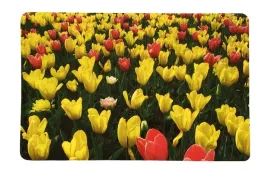 podkladka-mata-stolowa-na-stol-wodoodporna-pvc-tulipany