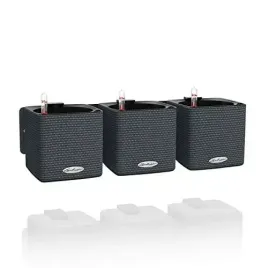 lechuza-green-wall-home-kit-color-trzy-wysokiej-ja