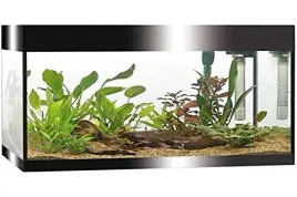 askoll-aa350050-askoll-pure-acquarium-kit-czarny-l