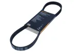 contitech-pasek-wielorowkowy-5pk836-stan-nowy