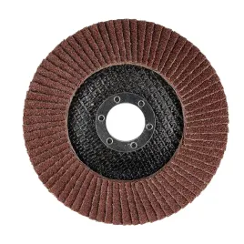 sciernica-listkowa-125-mm-lamelkowa-tarcza-do-szlifowania-lamelka-p60