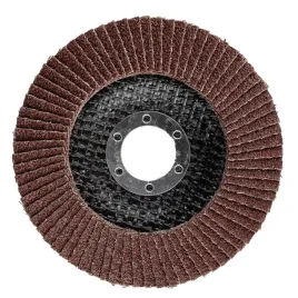 sciernica-listkowa-115-mm-lamelkowa-tarcza-do-szlifowania-lamelka-p40