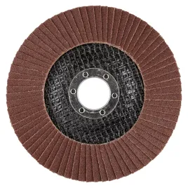 sciernica-listkowa-125-mm-lamelkowa-tarcza-do-szlifowania-lamelka-p120