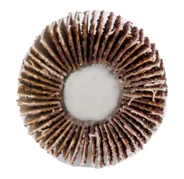 sciernica-listkowa-trzpieniowa-30-x-10-x-6-mm-p40