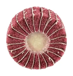 sciernica-listkowa-z-wloknina-scierna-trzpieniowa-60-x-25-x-6-mm-p120