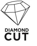 wiertlo-diamentowe-do-gresu-otwornica-8mm-graphite-zastosowanie-beton