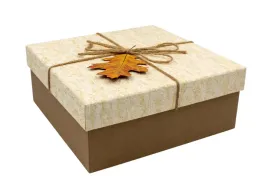 pudelko-prezentowe-ozdobne-dekoracyjne-c-20x20x8-cm-bez