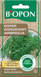 bopon-nasiona-koper-ogrodowy-ambrozja