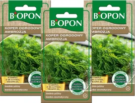 bopon-nasiona-koper-ogrodowy-ambrozja-3-szt