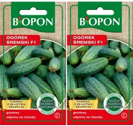 bopon-nasiona-ogorek-sremski-f1-odmiana-wczesna-plenna-odporny-na-choroby