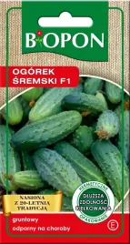 bopon-nasiona-ogorek-sremski-f1-odmiana-wczesna-plenna-odporny-na-choroby