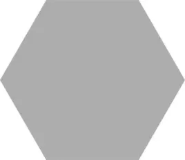 hexagon-basic-silver-22x25-codicer-gat-i