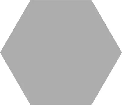 hexagon-basic-silver-22x25-codicer-gat-i
