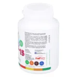 aliness-witamina-b-complex-b-15-methyl-100kaps-pamiec-watroba-przeznaczenie-uniwersalne
