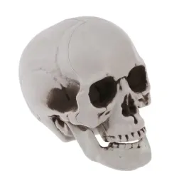 sztuczna-czaszka-czacha-szara-cieniowana-halloween-dekoracja-ozdoba-11cm