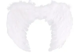 skrzydla-aniola-biale-anielskie-piora-aniol