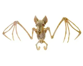 szkielet-nietoperza-nietoperz-kosci-dekoracja-wiszaca-ozdoba-halloween