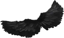 skrzydla-diablica-diabel-diabolina-anielskie-piora-halloween-czarne-60cm