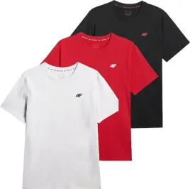 meska-koszulka-zestaw-3-sztuk-4f-t-shirt-3-pak-tshm3341-020s-62s-27m-l