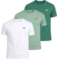meska-koszulka-zestaw-3-sztuk-4f-t-shirt-3-pak-tshm3986-41s-43s-10s-xxl