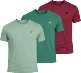 meska-koszulka-zestaw-3-sztuk-4f-t-shirt-3-pak-tshm3986-41s-43s-60s-l