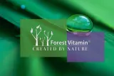 forest-vitamin-witamina-b-complex-betaina-cholina-60-kapsulek-kod-producenta-kompleks-witamina-b1-b2-b3-b5-b6-b12