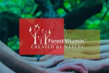 forest-vitamin-bor-3mg-100-kapsulek-postac-kapsulki