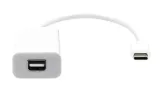 proxtend-usb-c-to-mini-dp-20cm-white
