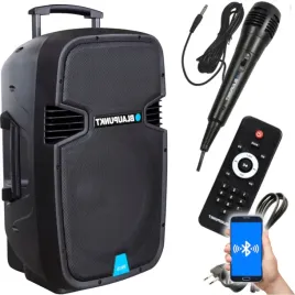glosnik-przenosny-system-audio-blaupunkt-pa-15-karaoke-kolumna-pa15