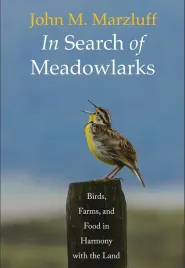 ksiazka-in-search-of-meadowlarks-birds-farms-food-harmony-m-marzluff