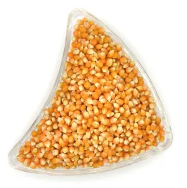 popcorn-ziarna-kukurydza-500g-05kg