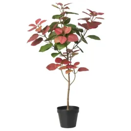ikea-fejka-sztuczna-roslina-w-doniczce-perukowiec-podolski-66-cm-doniczkowa