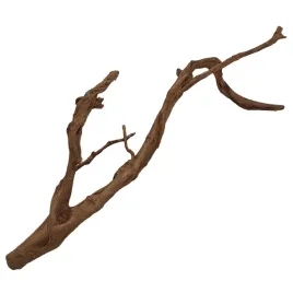 galaz-korzenia-japonskiego-red-moor-wood-50cm