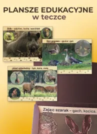 plansze-edukacyjne-tablice-myslistwo-lowiectwo-kpl-12
