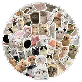 naklejki-zestaw-mix-smieszne-koty-memy-50szt