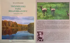 trojmiejski-park-krajobrazowy-4-pory-roku-kaminski