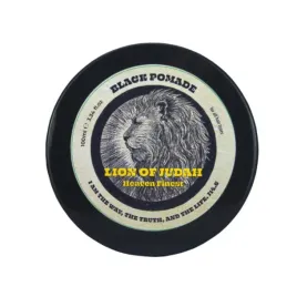 rosanera-lion-pomada-odsiwiajaca-czarna-100ml