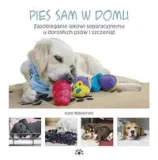 pies-sam-w-domu