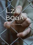 lzy-boga
