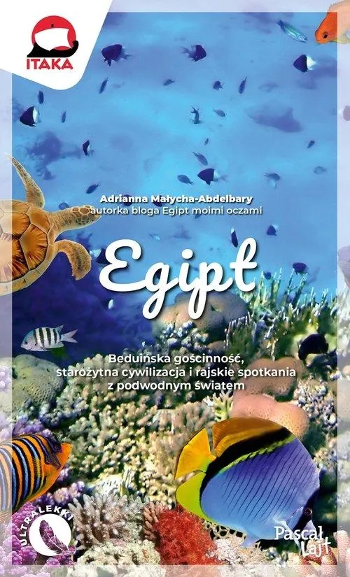 egipt-lajt-przewodnik-pascal