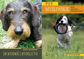 jak-wychowac-i-wyszkolic-psa-psy-mysliwskie